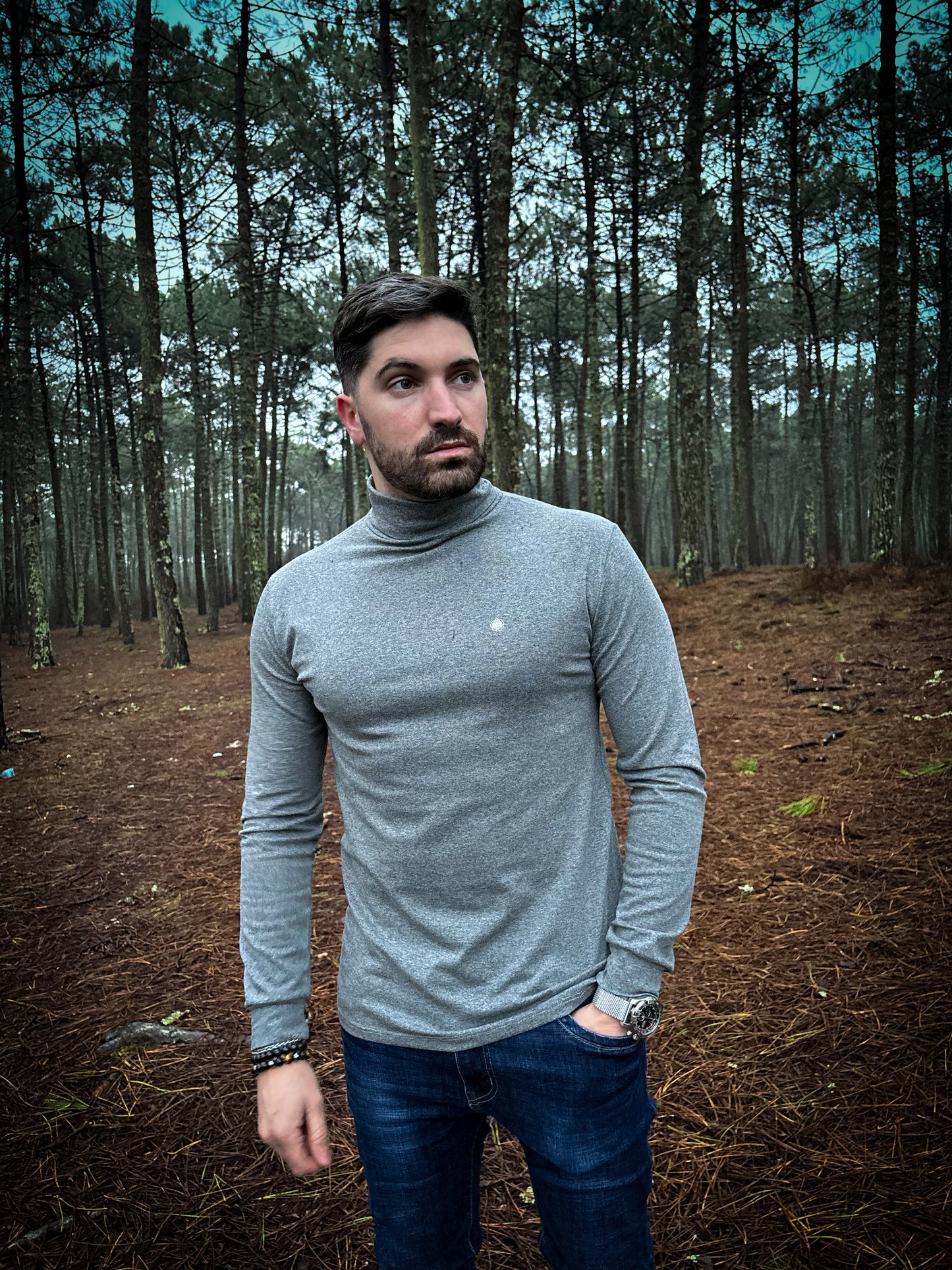Rozertys Grey Turtle Neck